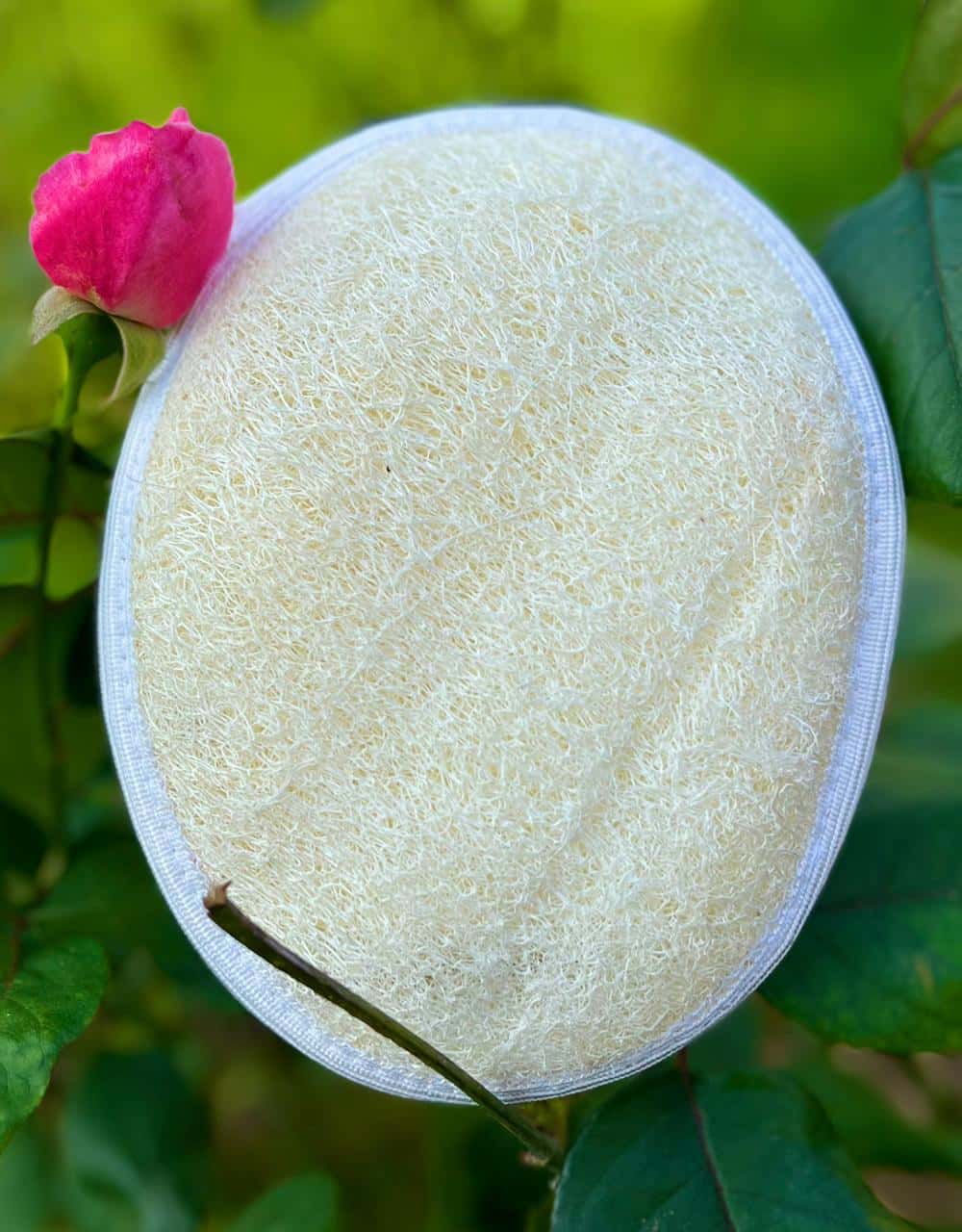 Exfoliating Loofah Pad, Egyptian loofah, SKU LF004
