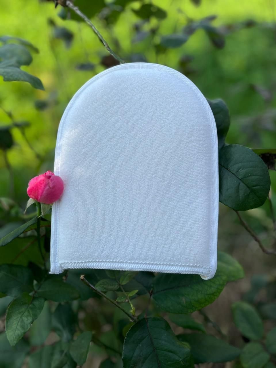 Organic Loofah Sponge close-up texture showing natural loofah structure